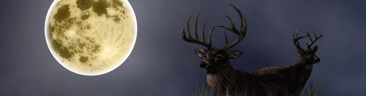 BUCK MOON TRAIN