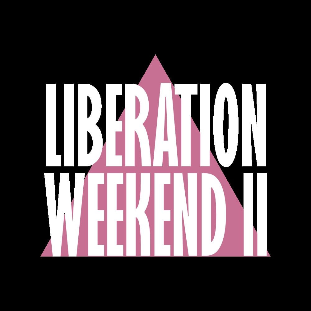 the liberation raid train