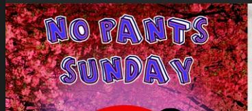 NO PANTS SUNDAY RAID TRAIN