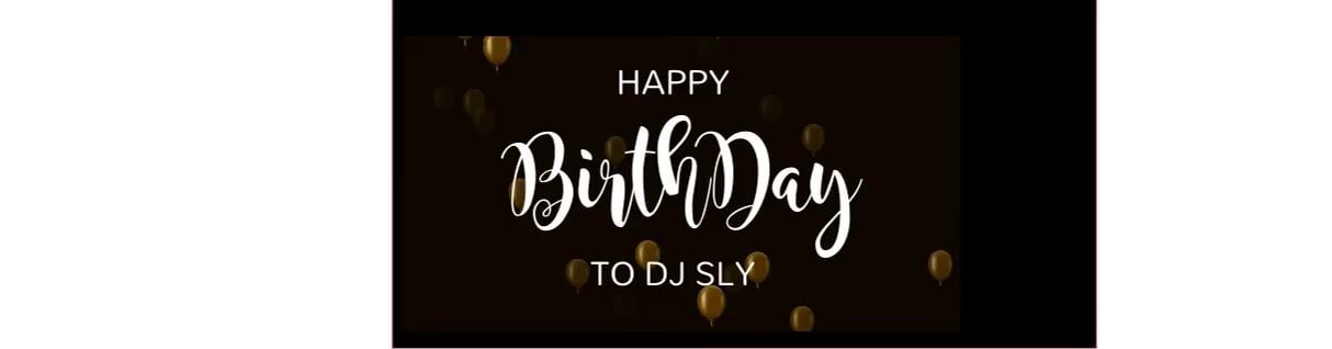 Dj Sly's Birthday Party Raid Train