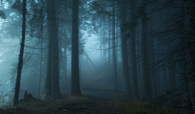 alt_header_AGAINST THE TIDE RAID TRAIN: a deep dive into shoegaze