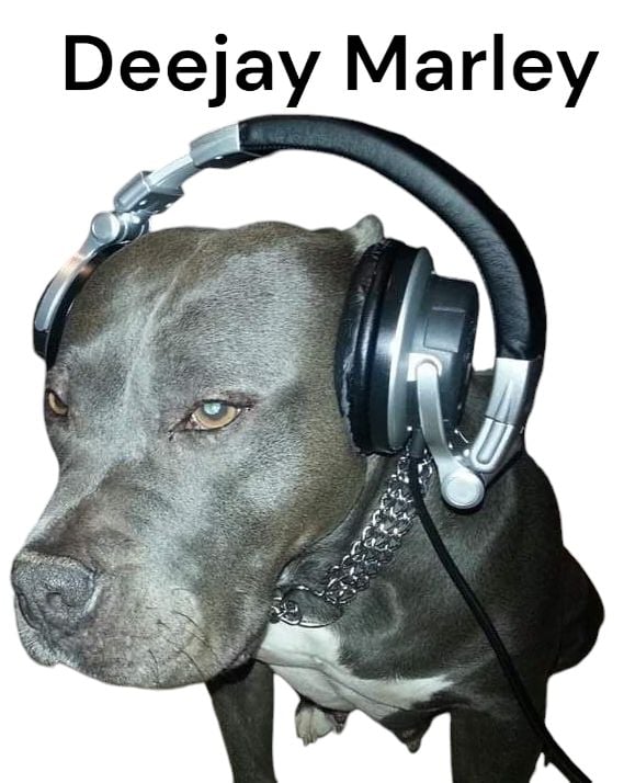 High Spirits Raid Train 30 presented by Deejay Marley