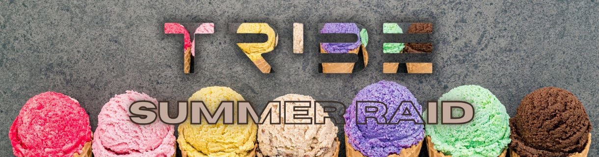 Tribe XR - Summer Holiday VRDJ RAID
