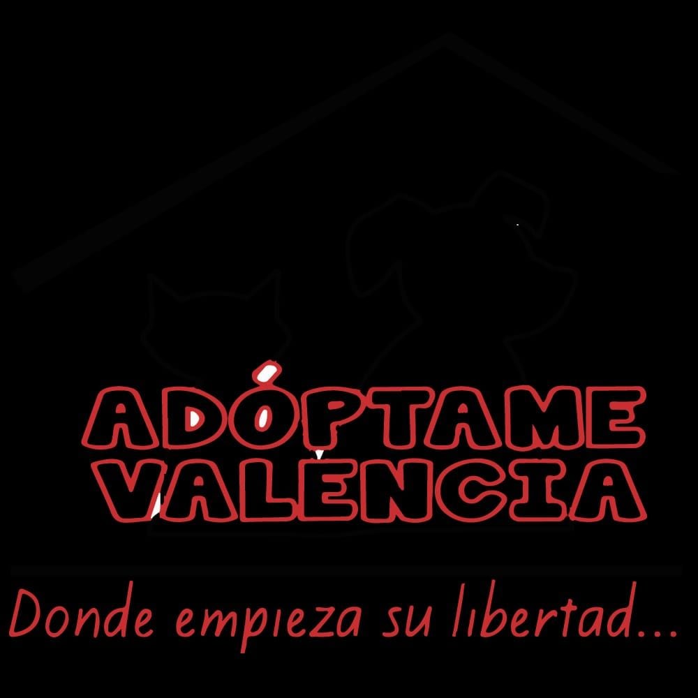 Adoptame Valencia