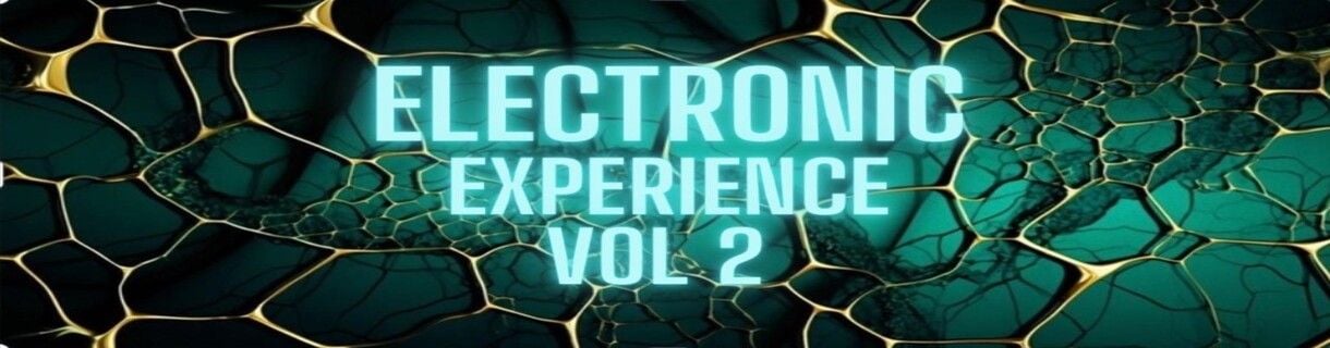 ELECTONIC EXPERIENCE Vol 2