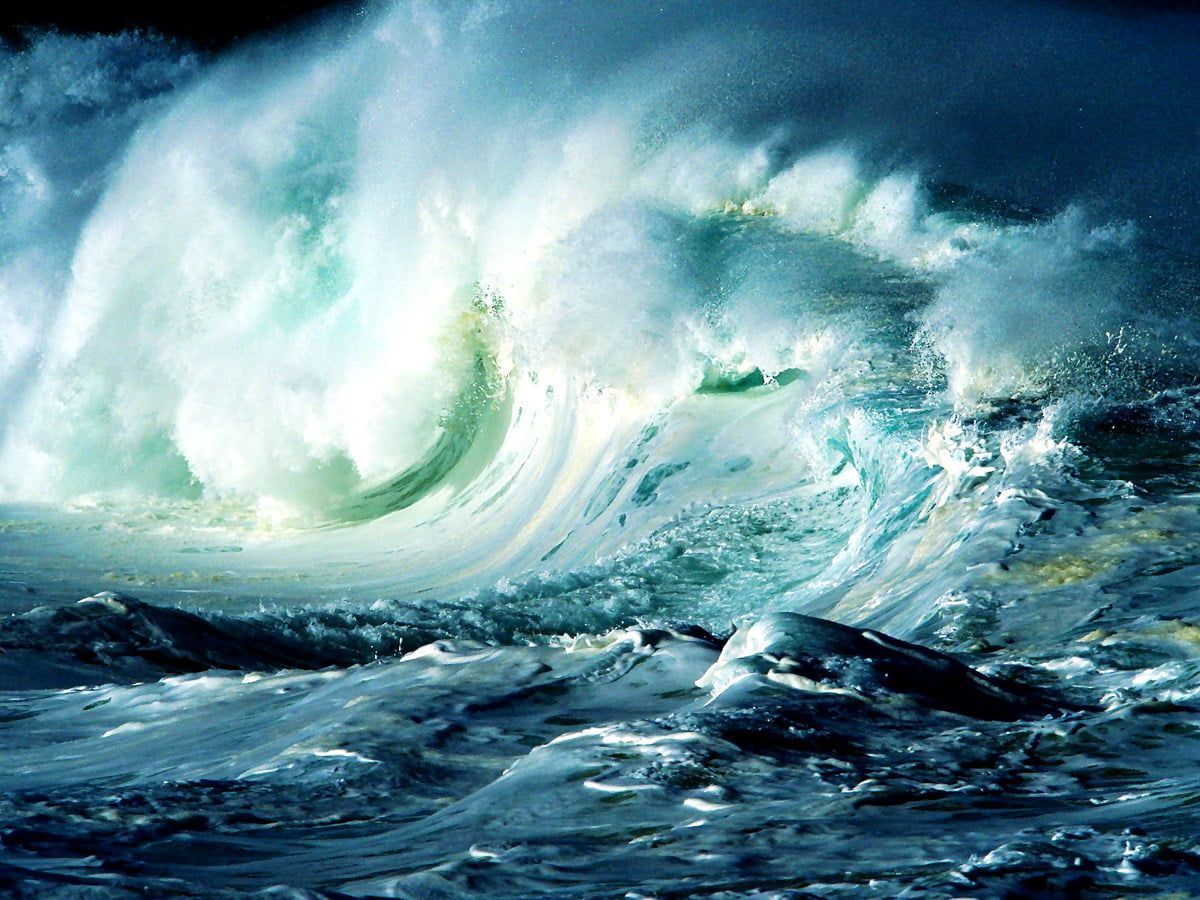 AGAINST THE TIDE RAID TRAIN: a deep dive into shoegaze