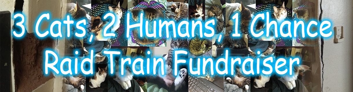 3 Cats, 2 Humans, 1 Chance