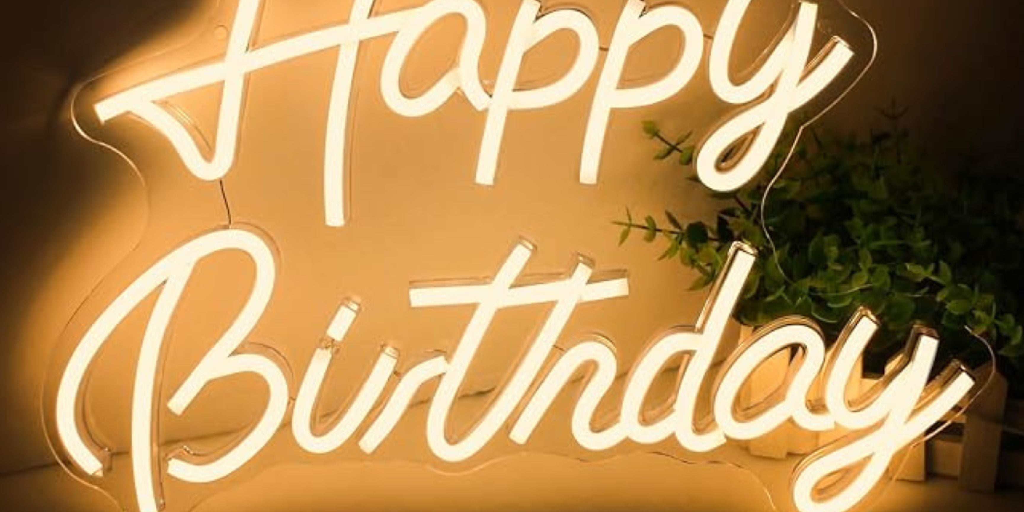 alt_header_NICACROSSA BIRTHDAY RAID TRAIN