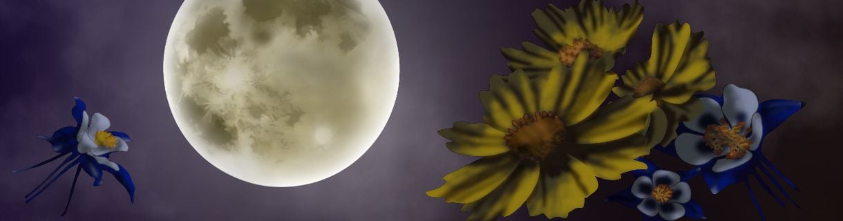 FLOWER MOON TRAIN