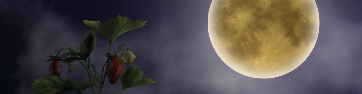 STRAWBERRY MOON TRAIN