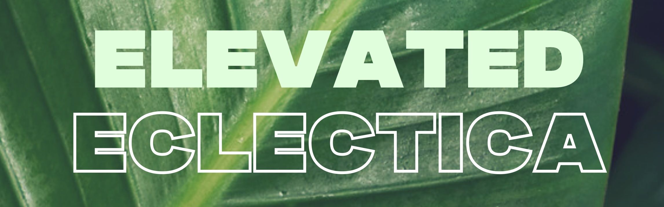 Elevated Eclectica #28