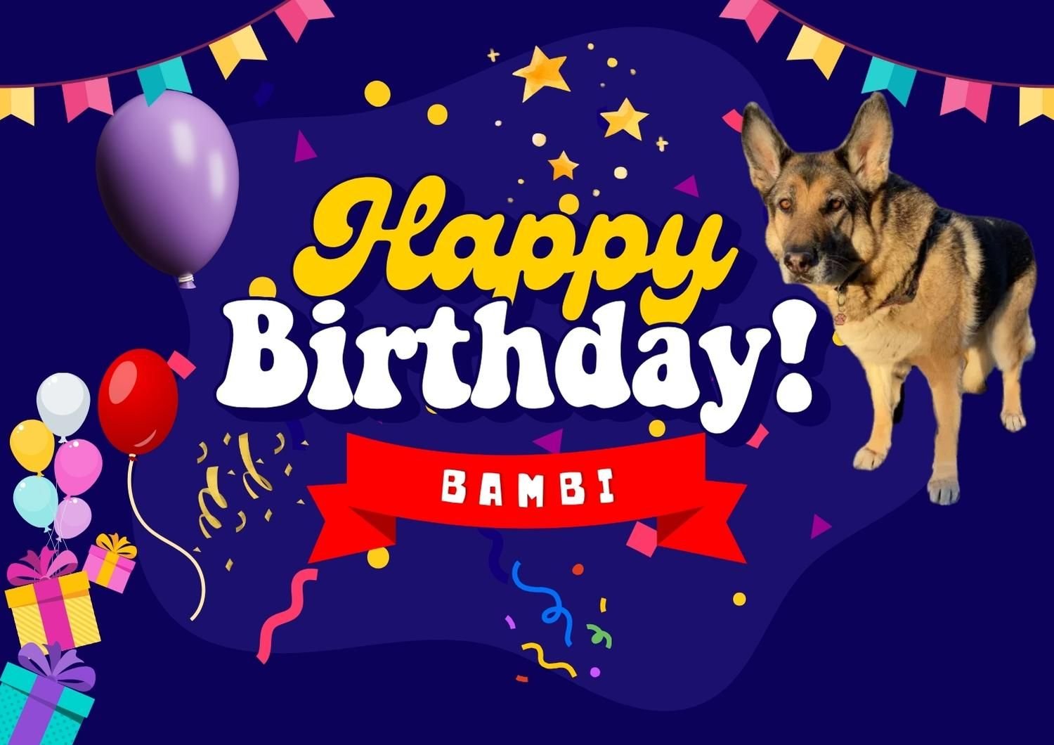 alt_header_12 Birthday of Bambi the dog. 12 Cumpleaños de perrita Bambi.