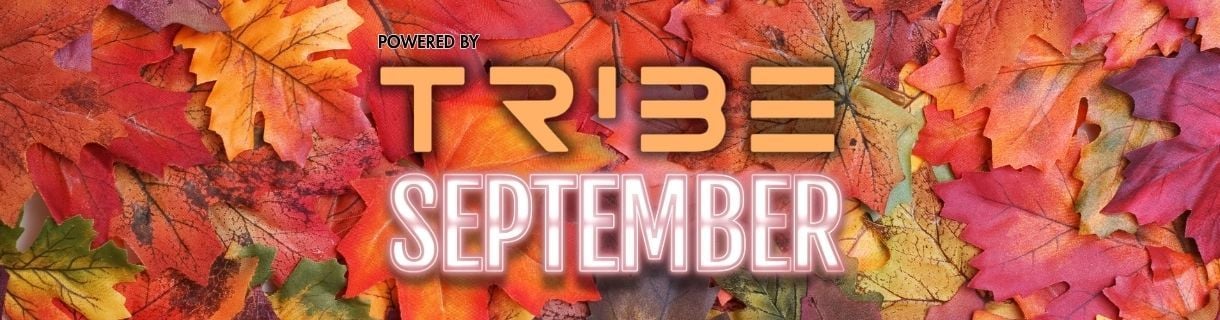 alt_header_Tribe XR Resident DJ - September 'VR' Raid Train