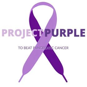 Project Purple - 4th of July Weekend Big Bash Charity Raid Train