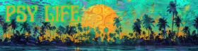 ☀️🌴 PSY LIFE 44 🌴☀️