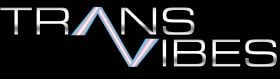 Trans Vibes Pride Raid