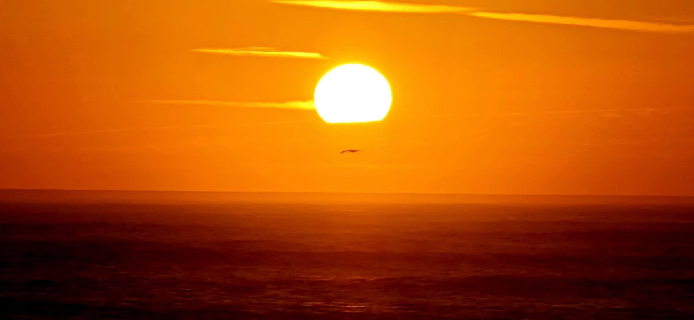alt_header_SunTribe