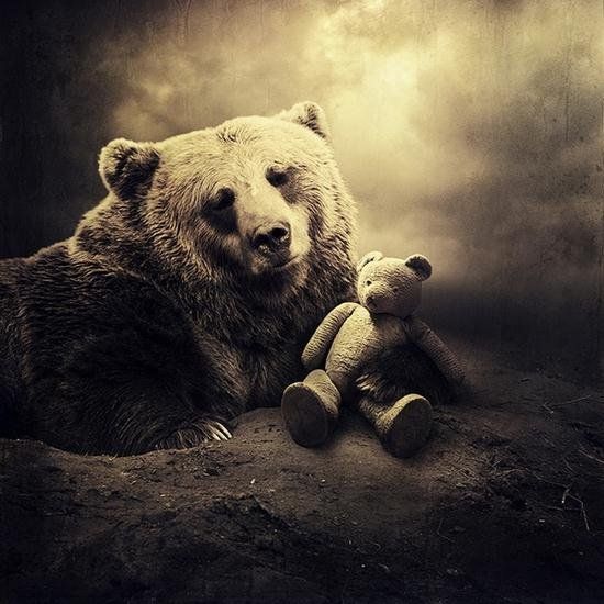 alt_header_GregTheGrizzly