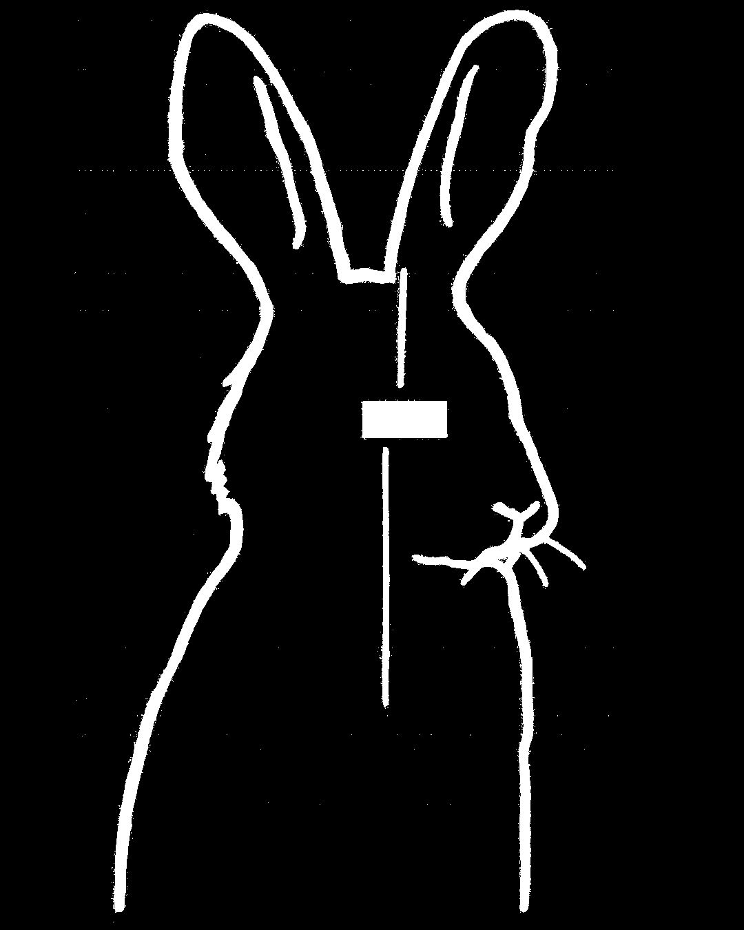 alt_header_ReoccurringRabbit