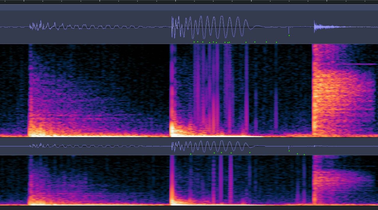 alt_header_DjCyberNature