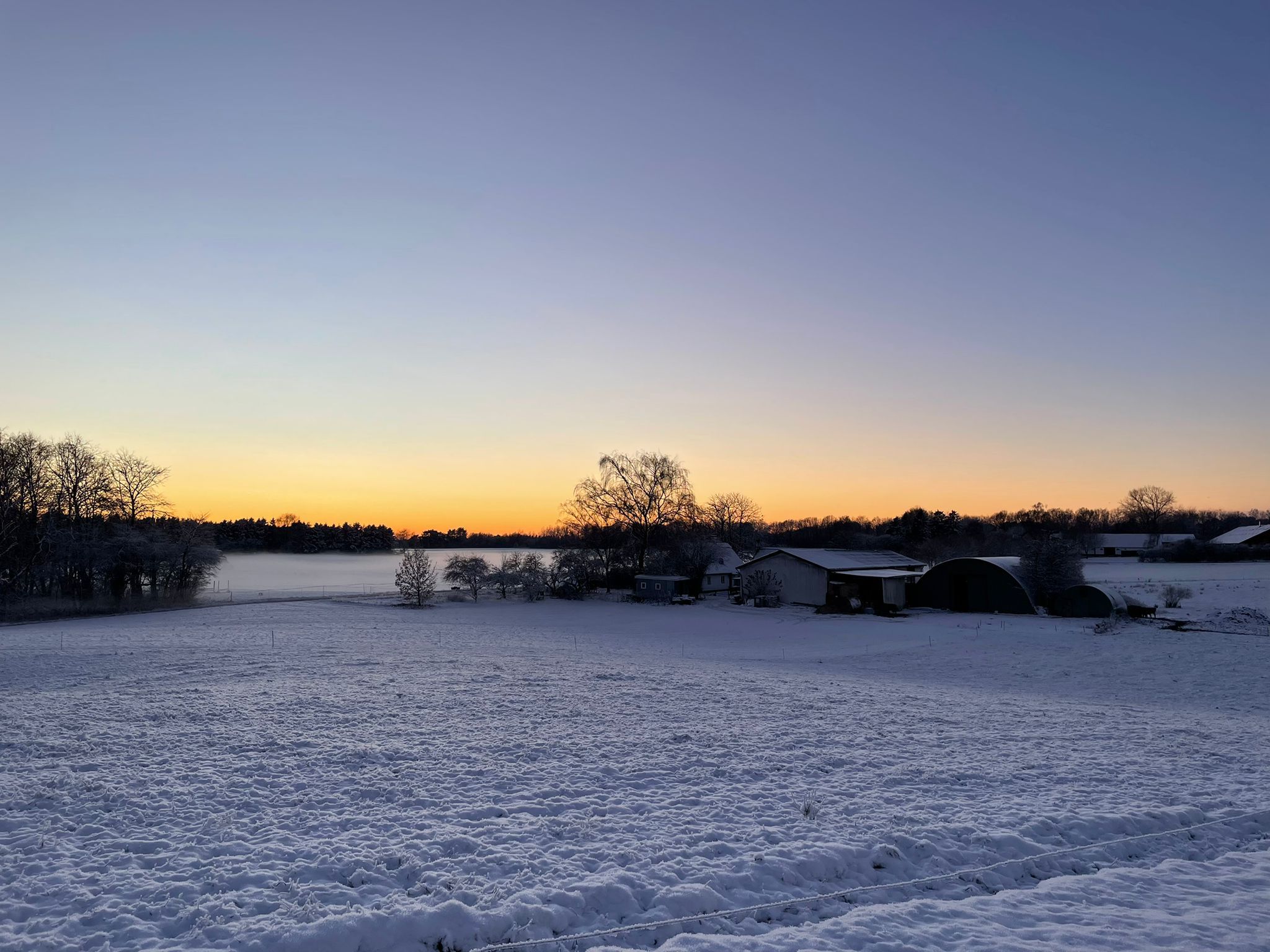 alt_header_adastra_alexandra