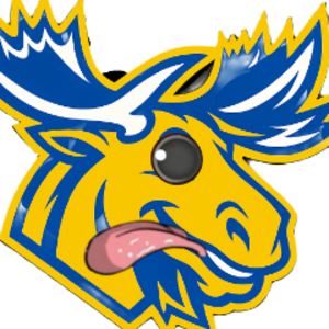 profile_thesweedrunner