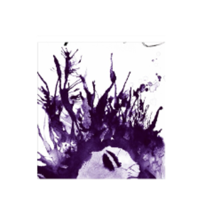 profile_EveningGiraffee