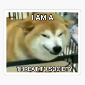 profile_loopdiddle