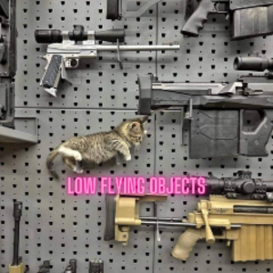 profile_FlyingMikeFace