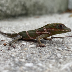 profile_Outdoor_Addict