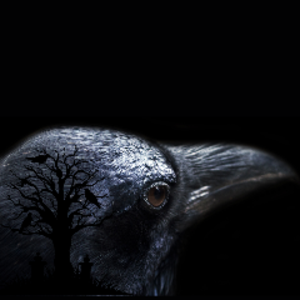 profile_RayvenNightsong