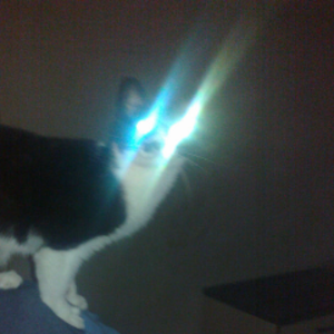 profile_XerianDJOufff