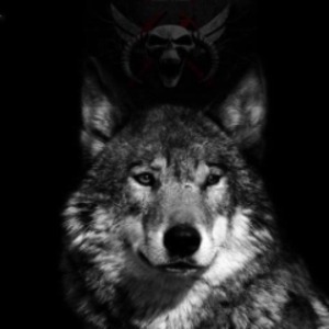profile_DJ_Deutscher_Wolf