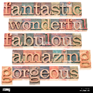 profile_thefabfantastic