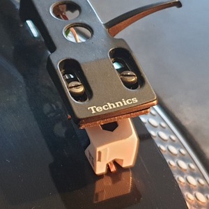 profile_Jungle_Riddims