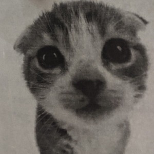 profile_haydenhardcore