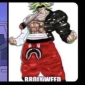 profile_GabeTheGooseBabe