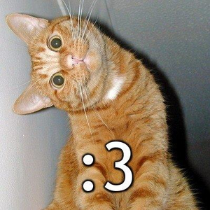 profile_p_kitty_kat_raver