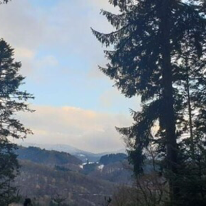 profile_Trancespacer