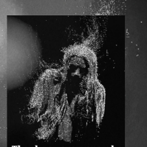 profile_ReoccurringRabbit