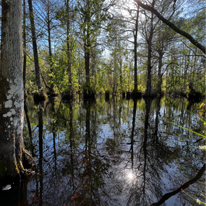 profile_lucaspukas420