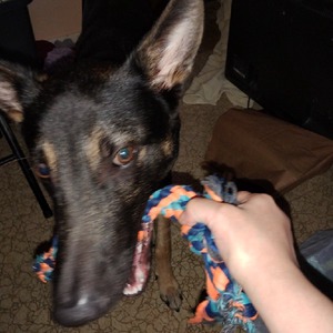 profile_monicas_soju