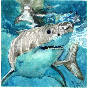 profile_GrayOvercastArt