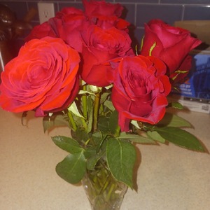 profile_anastasia_ro5e