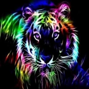 profile_Renegade_Tigers