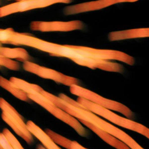 profile_amodelofcontrol