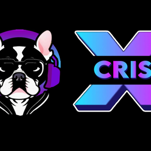 profile_dj_crisx