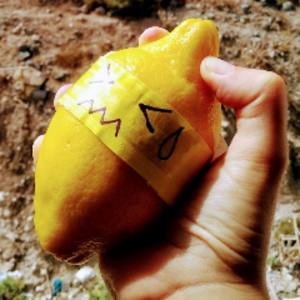 profile_citronella__