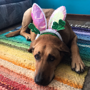 profile_grizzlymeadows