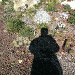 profile_GranGoddessa